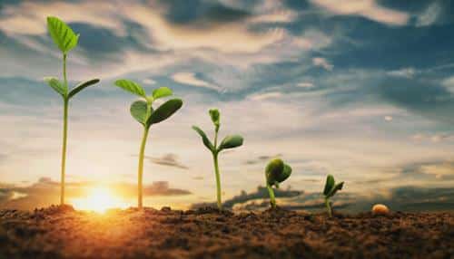 bai hoc cuoc song y nghia