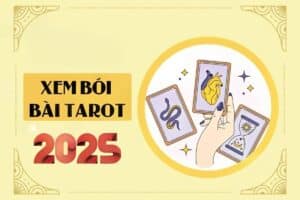 Bói bài tarot năm 2025: Hành trình phía trước của bạn trải đầy HOA HỒNG hay toàn SỎI ĐÁ?