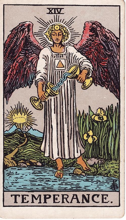 Boi bai tarot nam 2025 - Kim Nguu