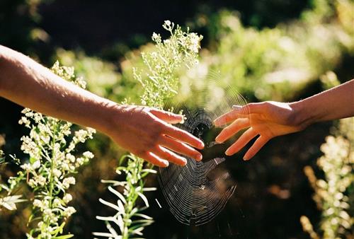 con giap co ty le ly hon, chia tay cao nhat nam 2025