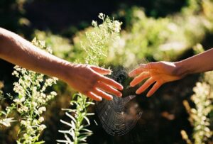 Đây là 3 con giáp có tỷ lệ ly hôn, chia tay cao nhất năm 2025