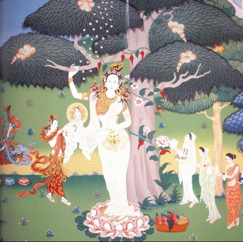 duc phat len coi troi de tham me