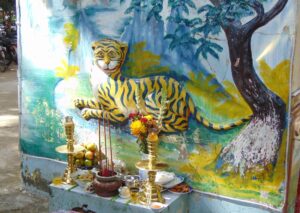 Vì sao người Việt có tín ngưỡng thờ thần Hổ mà không thờ Sư Tử?