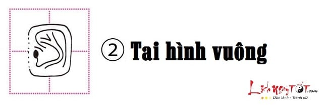 Xem hình dáng tai đoán biết tính cách bản chất con người hình ảnh gốc 2 Xem hinh dang tai doan biet tinh cach ban chat con nguoi hinh anh goc 2