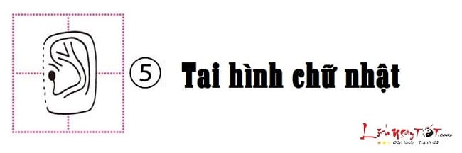 Xem hình dáng tai đoán biết tính cách bản chất con người hình ảnh gốc 5 Xem hinh dang tai doan biet tinh cach ban chat con nguoi hinh anh goc 5