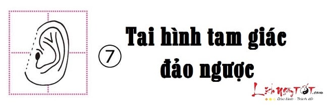 Xem hình dáng tai đoán biết tính cách bản chất con người hình ảnh gốc 7 Xem hinh dang tai doan biet tinh cach ban chat con nguoi hinh anh goc 7