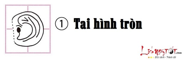 Xem hình dáng tai đoán biết tính cách bản chất con người hình ảnh gốc Xem hinh dang tai doan biet tinh cach ban chat con nguoi hinh anh goc