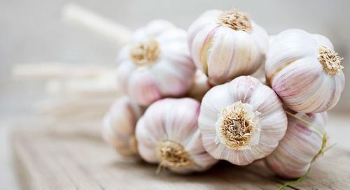 toi la thu khong the thieu khi cung via than tai